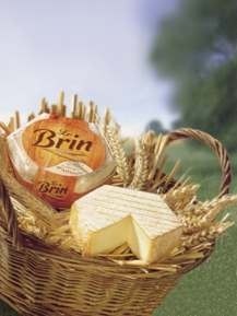 LE BRIN
