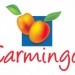 CARMINGO