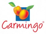 medium_Carmingo_2007_72_dpi.jpg
